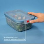 Emsa Frischhaltedose oneClick, Polyprophylen (PP), (1-tlg), verschlossen mit nur 1 x Klick, 100% dicht, made in Germany