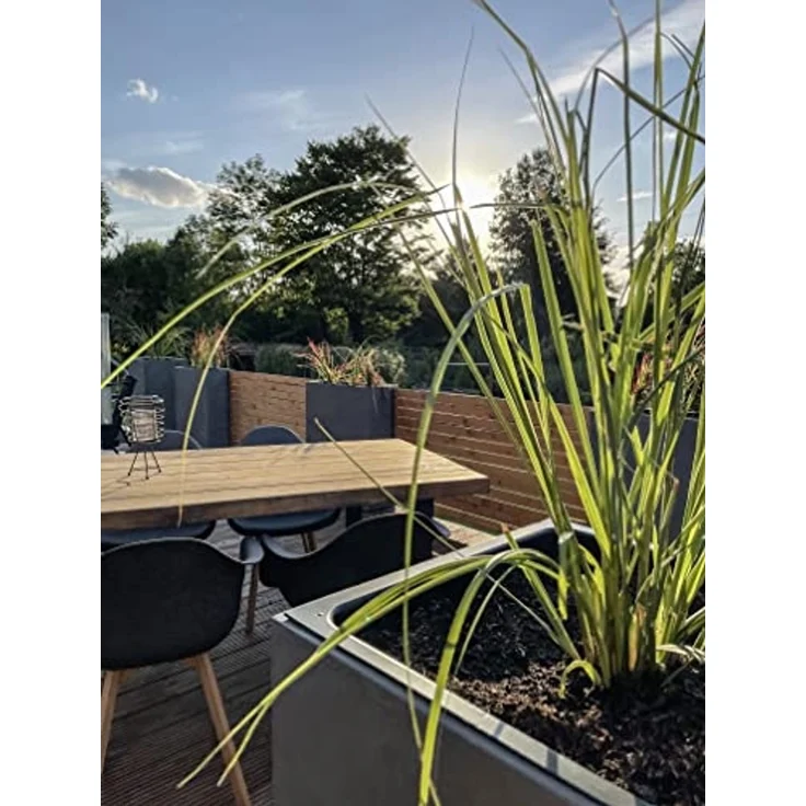 Pflanzwerk® Pflanzeinsatz Innentopf für TOWER Pflanzkübel Frostsicher Pflanzsäule Blumenkübel, Handgefertigt - Frostsicher – Bild 4