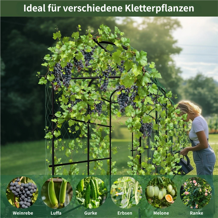 UNHO Gurke Rankhilfe Metall Rankgitter Gitternetz Kletterpflanzen für Blumen Gemüse Rosenbogen Kletterhilfe Rosenspalier Torbogen 120x182x222 cm rostfrei Gebogen Schwarz – Bild 4