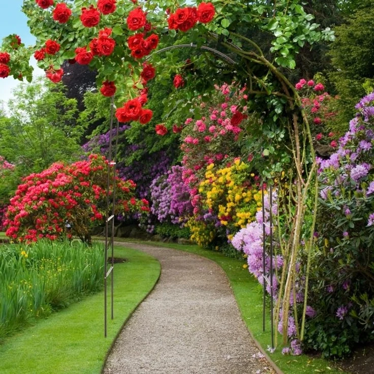 Torbogen Garten für Rosen 240 cm – Bild 2