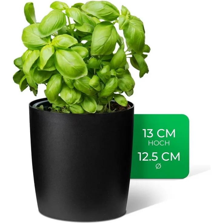 Novaliv Kräutertopf - (1 St), 1x Kräutertöpfe