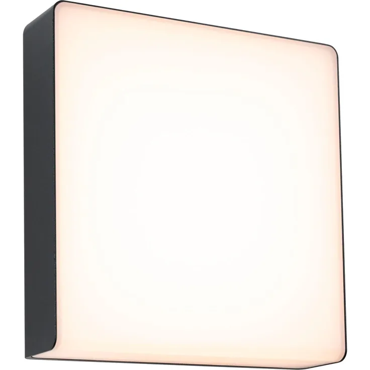 Paulmann 94840 LED Aussenwandleuchte Azalena Bewegungsmelder IP44 3000K