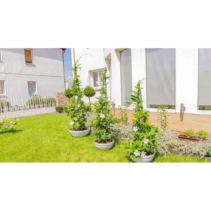 KADAX Gartenkegelstütze für Kletterpflanzen 150 cm – Bild 6