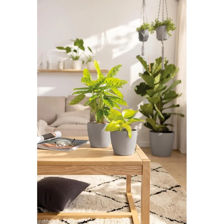 Lechuza® Blumentopf Classico Color 12 sandbraun (Komplettset) – Bild 6