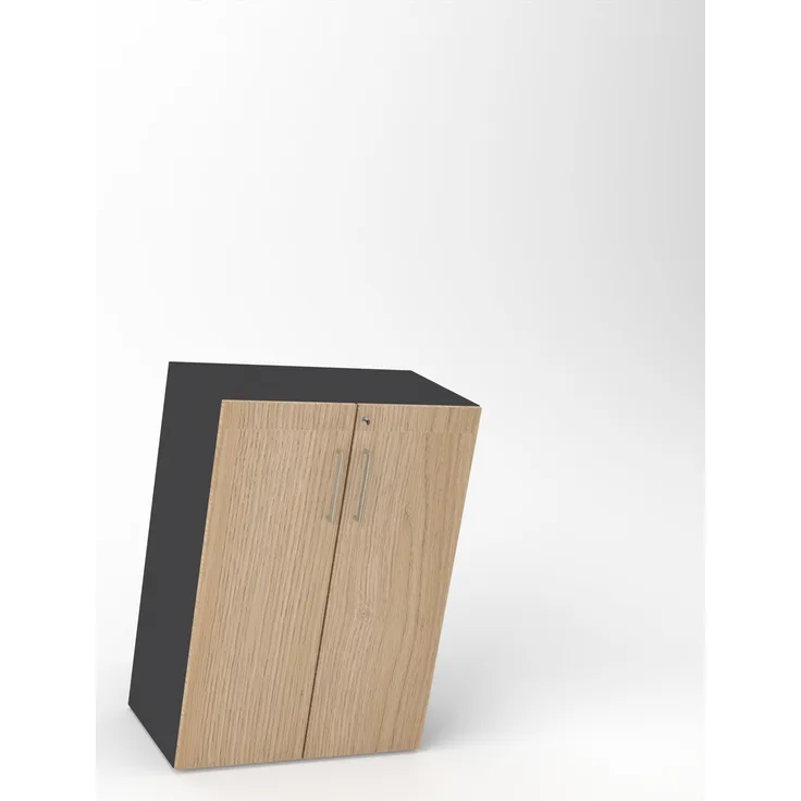 Rheinland Möbel Flügeltürenschrank Cabino 80×42×110 cm – abschließbarer Aktenschrank 3OH in Graphit/Eiche mit 110° Drehtüren & Metallgriff