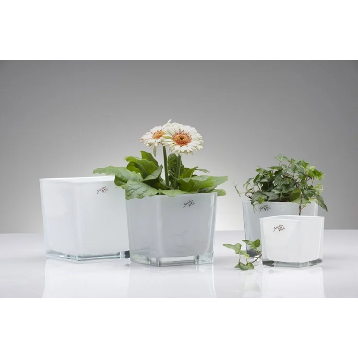 Sandra Rich Übertopf SANDRA RICH, Glasübertopf "CUBE" Pflanztopf Blumentopf Weiß 10x10cm – Bild 2