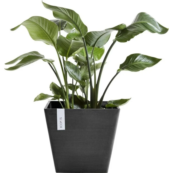 ECOPOTS Blumentopf ROTTERDAM Dark Grey, BxTxH: 30x30x26 cm – Bild 2
