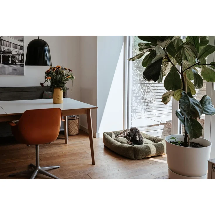 Hunter Tierbedarf Tierbett Hundesofa Kumara khaki – Bild 8