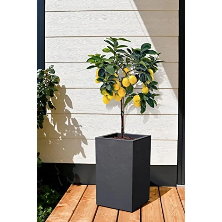 ONDIS24 Blumentopf Pflanzkübel Vulkan, 36L Pflanzvolumen, rechteckig, Blumenkasten, mit Wasserspeicher in Schieferoptik, Balkon Terrasse, Blumenkübel – Bild 2