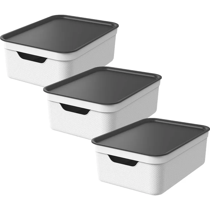 Rotho Jive 3er-Set Aufbewahrungsbox 10l mit Deckel, Kunststoff, weiss