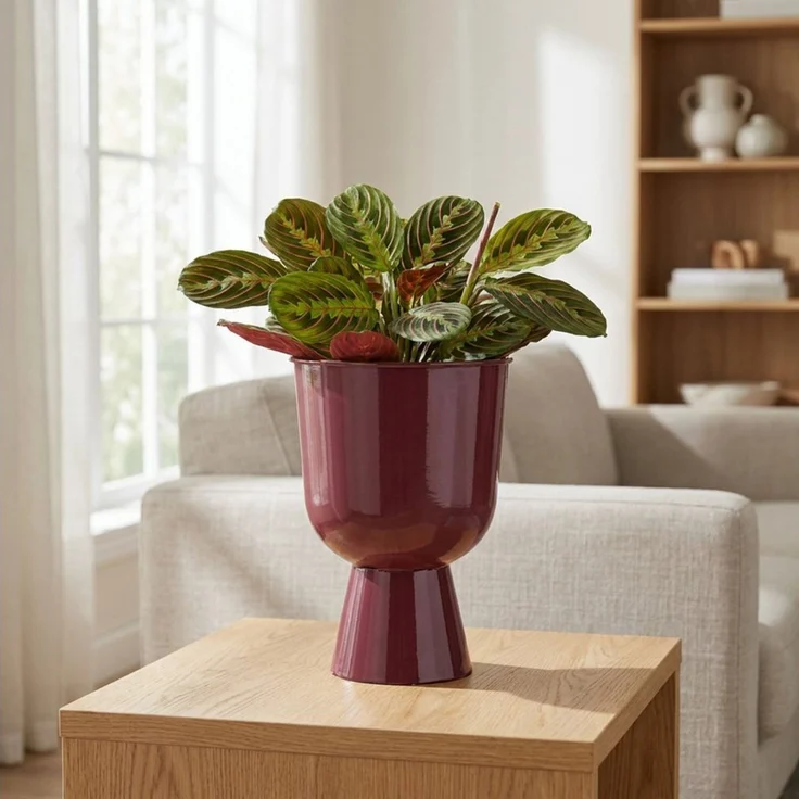 Florists Products Dekoschale Design Blumentopf Pokalform modern dekorativ für Wohn- und – Bild 2