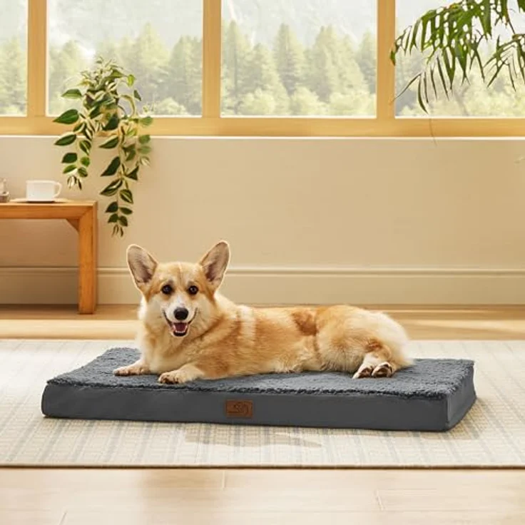 BEDSURE orthopädisches Hundebett kleine Hunde - 76 x 51 x 7.6 cm Hundekissen flauschig Hundematte waschbar Hundematratze in dunkelgrau für kleine Hunde – Bild 5