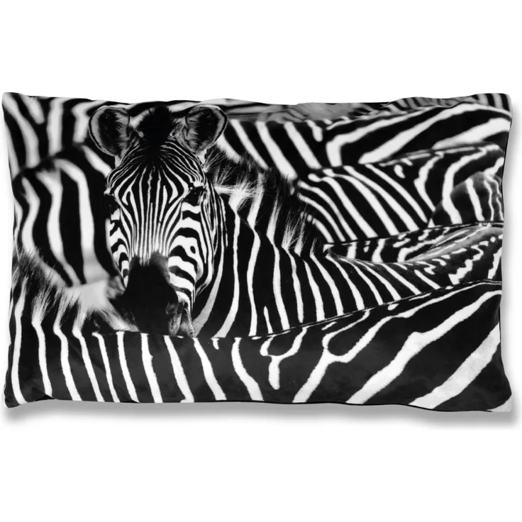 Bestlivings Dekokissen mit Fotodruck ca. 40x60cm, Flauschig weich, in weiteren Motiven verfügbar ( Design: ZEBRA )