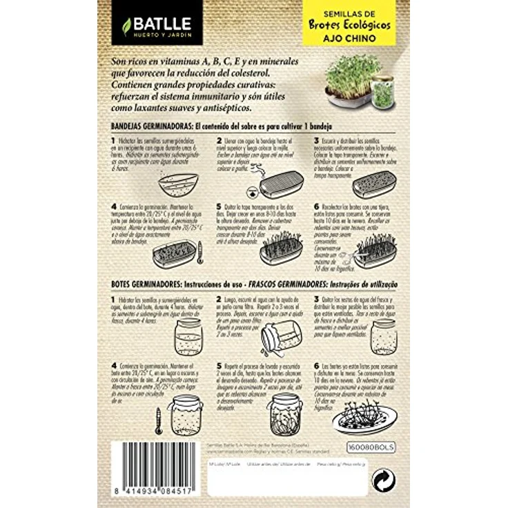 Bio Sprossen Samen Batlle - Chinesischer Knoblauch (6g) – Bild 3
