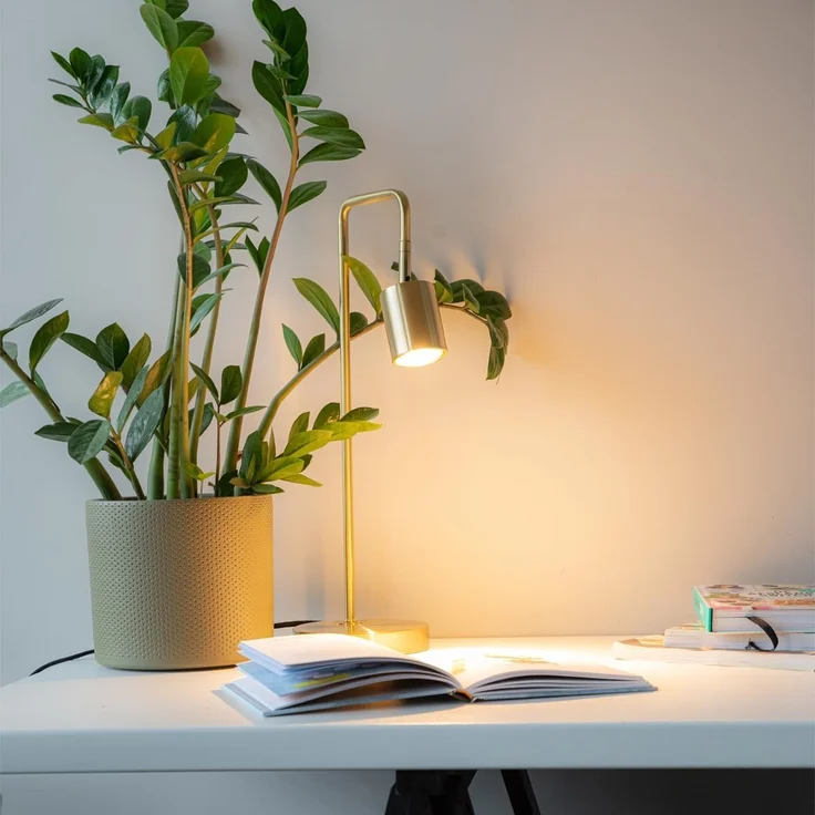 Qazqa Tischleuchte Java, ohne Leuchtmittel, GU10, Gold/Messing, Modern, Stahl, 1-flammig – Bild 2