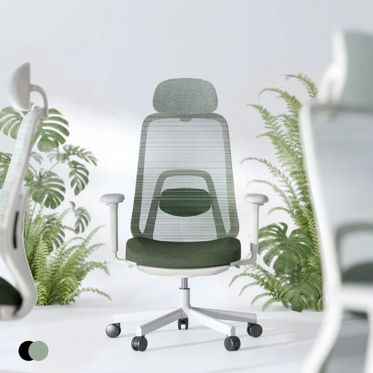 FLEXISPOT Bürostuhl Ergonomischer Bürostuhl Premium mit Fußstütze und 10D-Lordosenstütze (Synchronmechanik bis 135°, 2D-Kopfstütze), Höhenverstellbarer Schreibtischstuhl für Homeoffice & Büro – Bild 1