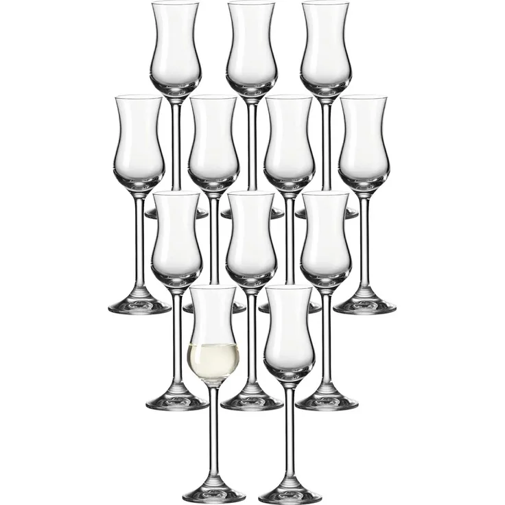 Leonardo DAILY Grappaglas 100 ml 12er Set