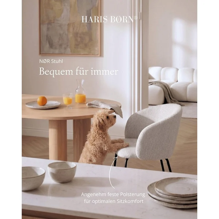 Haris Børn Esszimmerstuhl mit Armlehnen NØR - Hochwertige Polsterstühle für Esszimmer (Set, 6 St), Hellgrau - Premium Esszimmer Stühle & Wohnzimmer Stühle – Bild 3