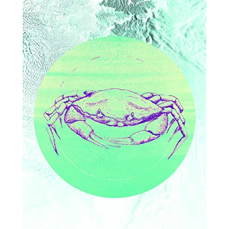 Komar Crab Sea Wandbild, Kunstdruck ohne Rahmen, 40 x 50 cm, fotorealistischer Druck auf Premium-Poster Fotopapier, für Wohnzimmer und Schlafzimmer, MADE IN GERMANY – Bild 1