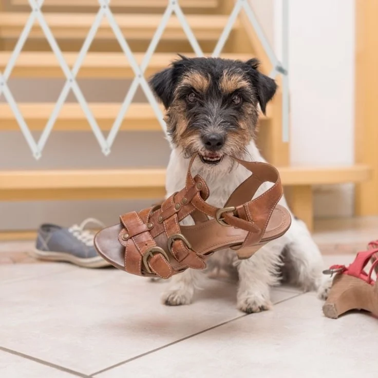 Relaxdays Hundegitter, ausziehbar bis 118 cm, 69-82,5 cm hoch, Hunde Schutzgitter für Treppe & Tür, Weiß – Bild 5