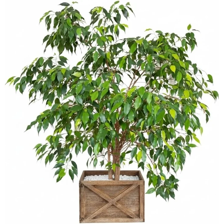 COIL Weihnachtsbaumdecke Weihnachtsbaumabdeckung, Weihnachtsbaumrock, Weihnachtsbaumständer, oval, rechteckig, Durchmesser ab 56 cm – Bild 6