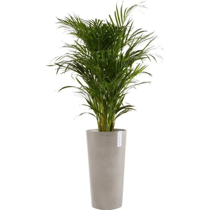 ECOPOTS Blumentopf AMSTERDAM MID HIGH Taupe, BxTxH: 34x34x66 cm – Bild 2