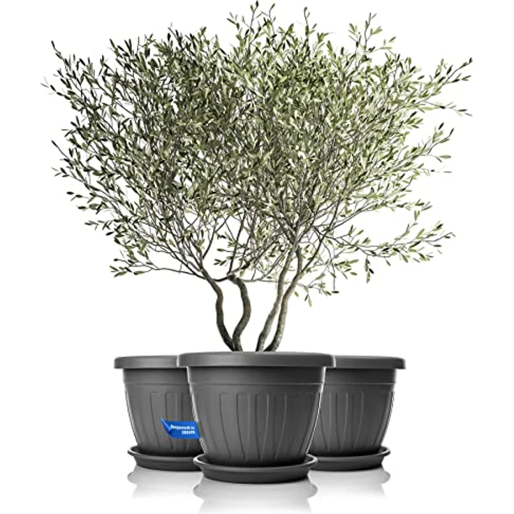 BigDean 3X Blumentopf mit Untersetzer rund ø50xH38 cm anthrazit - wetterfester Pflanzkübel - Wasserablauf UV-beständig aus bruchsicherem Kunststoff - Innen + Außen geeignet - Made in Europe – Bild 2