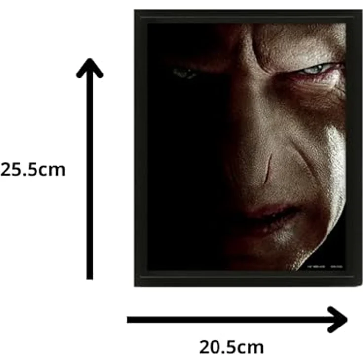 Pyramid International Harry Potter 3D Lenticular Poster (Harry vs Voldemort), 25cm x 20cm x 1.3cm im Rahmen, offizielles Lizenzprodukt – Bild 5