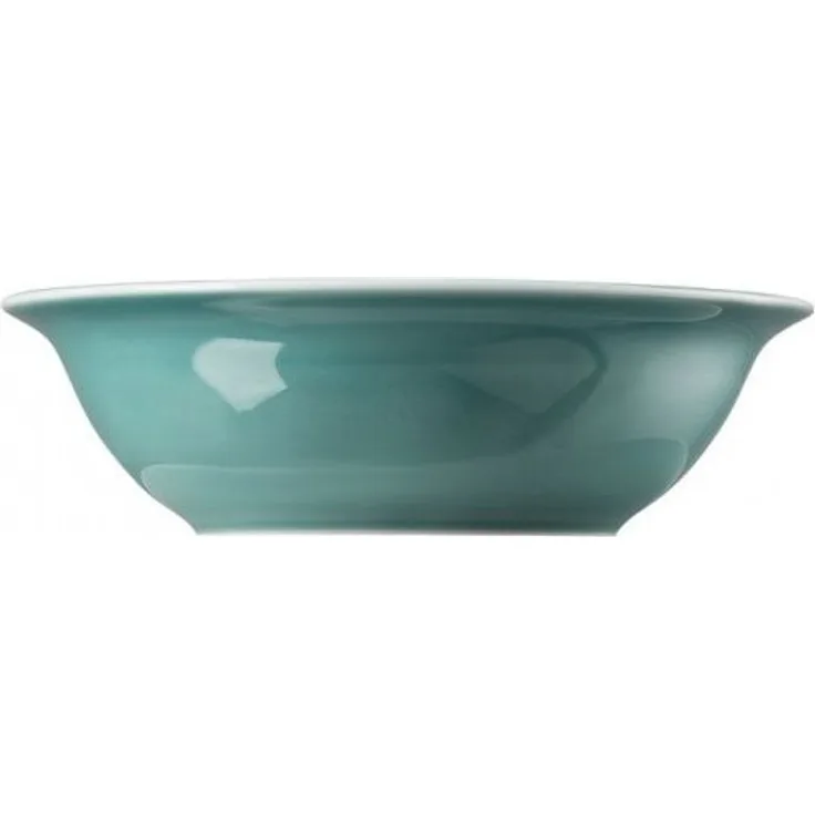Bowl Trend Colour Ice Blue Thomas Porzellan Bowl - Mikrowelle geeignet, Spülmaschinenfest
