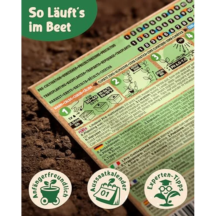 ZenGreens® - Bio Gemüsesamen im 25er Set - 25 Gemüse Samen für den einfachen Anbau im Garten, Balkon oder Hochbeet - Pflanzensamen - Saatgut – Bild 9