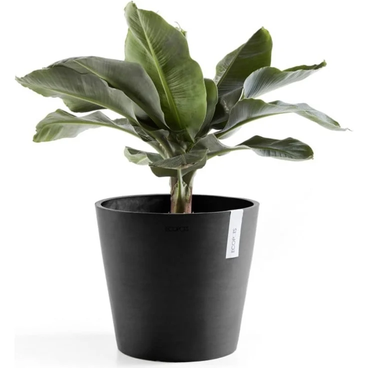 Ecopots Pflanztopf Amsterdam Ø 40 x 35 cm dunkelgrau – Bild 3