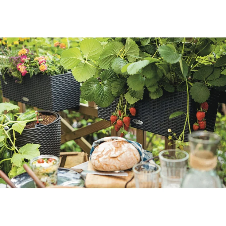 Lechuza Balkonkasten BALCONERA Cottage 50 cm, granit – Bild 11