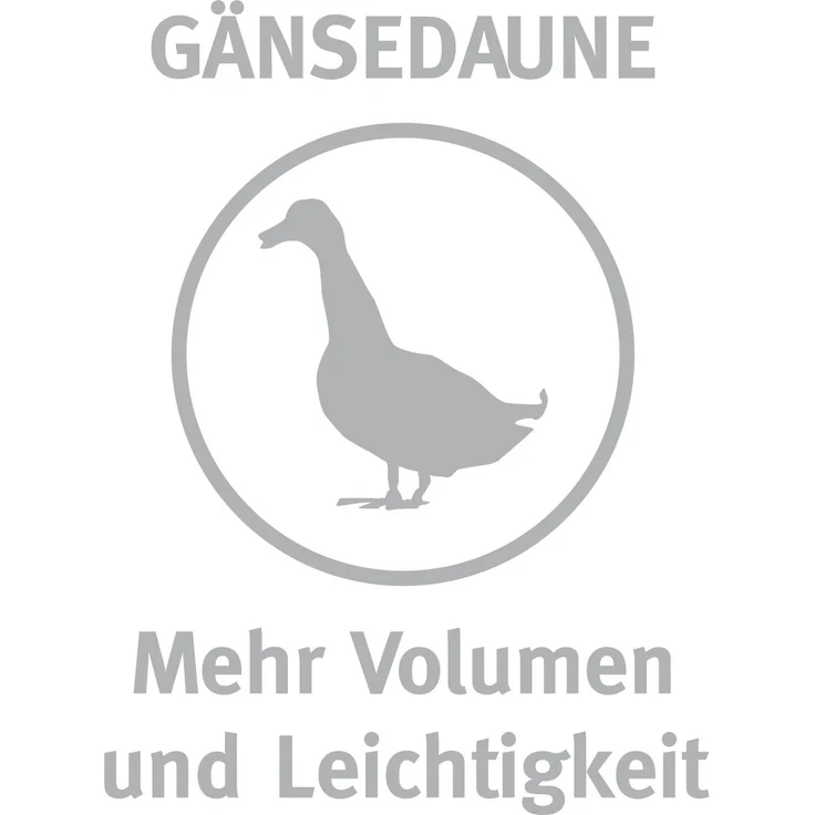 Paradies Daunen Kopfkissen Malea Fest Bio Gr 40x80cm – Bild 4