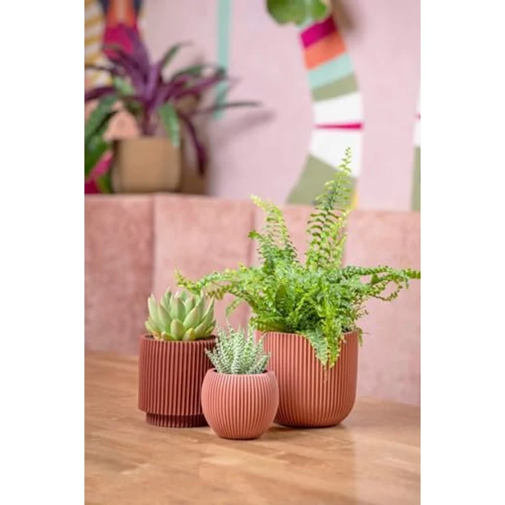 Capi Europe Übertopf rund Nature Groove, grün, Ø 17 cm x H 15 cm, handgefertigt aus Polyester für den Innenbereich – Bild 5