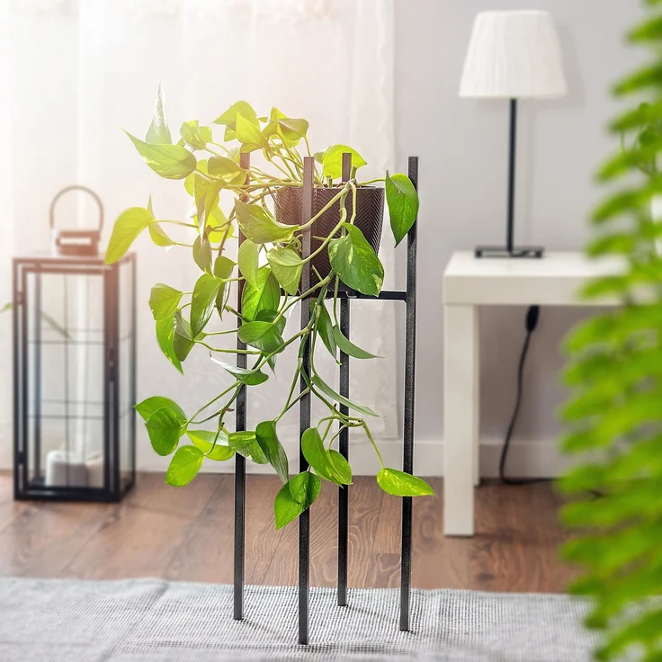 KADAX Blumenständer, Blumenständer aus Metall für das Wohnzimmer, 67 cm – Bild 3