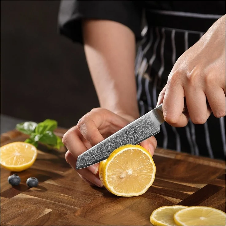 Wakoli Gemüsemesser EDIB Pro Damastmesser Mukimono I Küchenmesser Kochmesser I 10cm Klinge, 67 Lagen Damaststahl, VG-10 Stahlkern – Bild 2