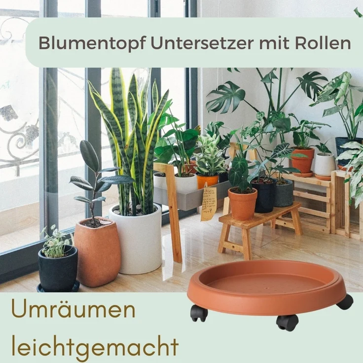 Pflanzenroller Rund Rollbrett Pflanzen Untersetzer Blumenroller Outdoor Pflanzenuntersetzer Blumentopf Untersetzer mit Rollen Pflanzenroller Rund 35 cm – Bild 6