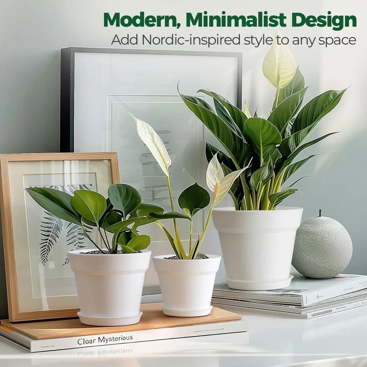 T4U 16cm Kunststoff Blumentopf mit Untersetzer, 6er-Set Weiß für Sukkulenten – Bild 5