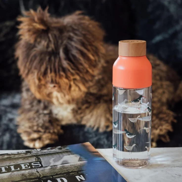 Quokka Trinkflasche 720 ml Birds Ecozen auslaufsicher – Bild 2