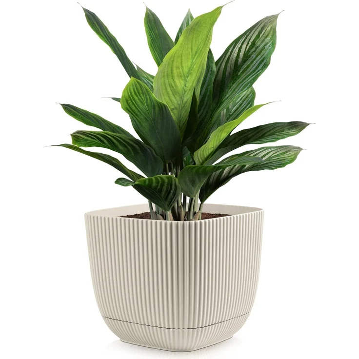 KONZEPT Blumentopf 2in1 Blumentopf mit Untersetzer Übertopf Kunststoff