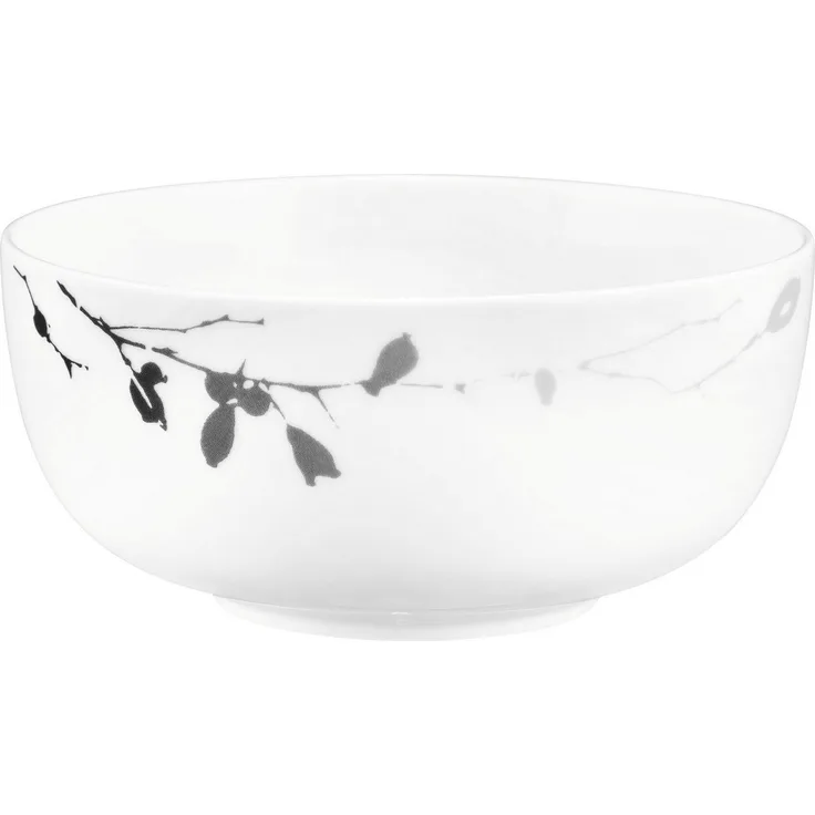 Seltmann Weiden Müslischale Liberty - Dark Rose Hip, Porzellan, (1-tlg), Schale 15 cm