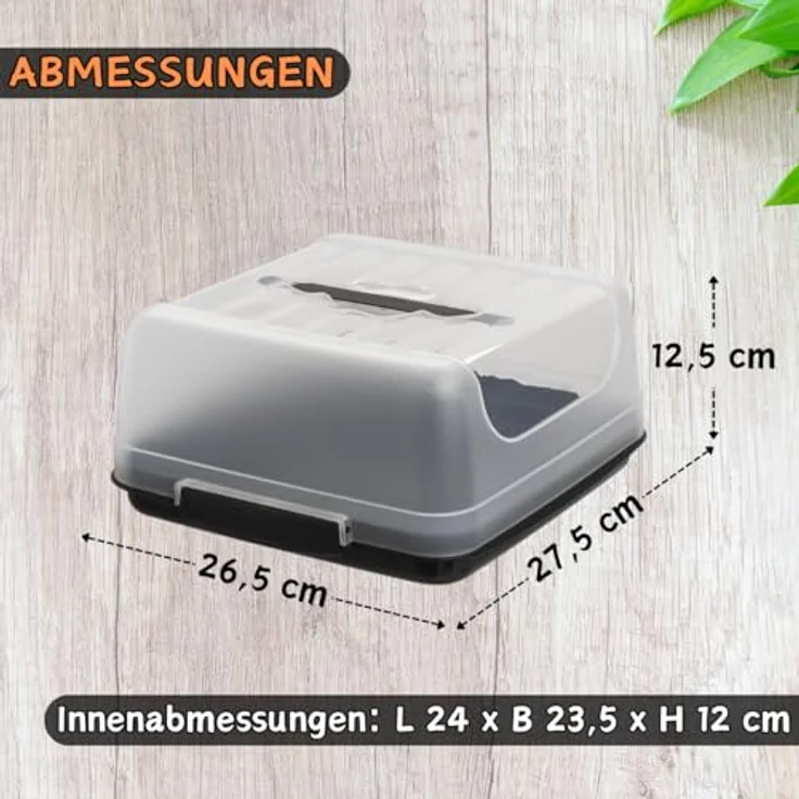 Engelland Kuchentransportbox Kuchenbox mit transparentem Deckel, Kunststoff, (Vorteils-Set, 1-tlg, sicheres Transportieren), mit Tragegriff und Klickverschluss, BPA-frei, rechteckig, Kunststoff – Bild 3