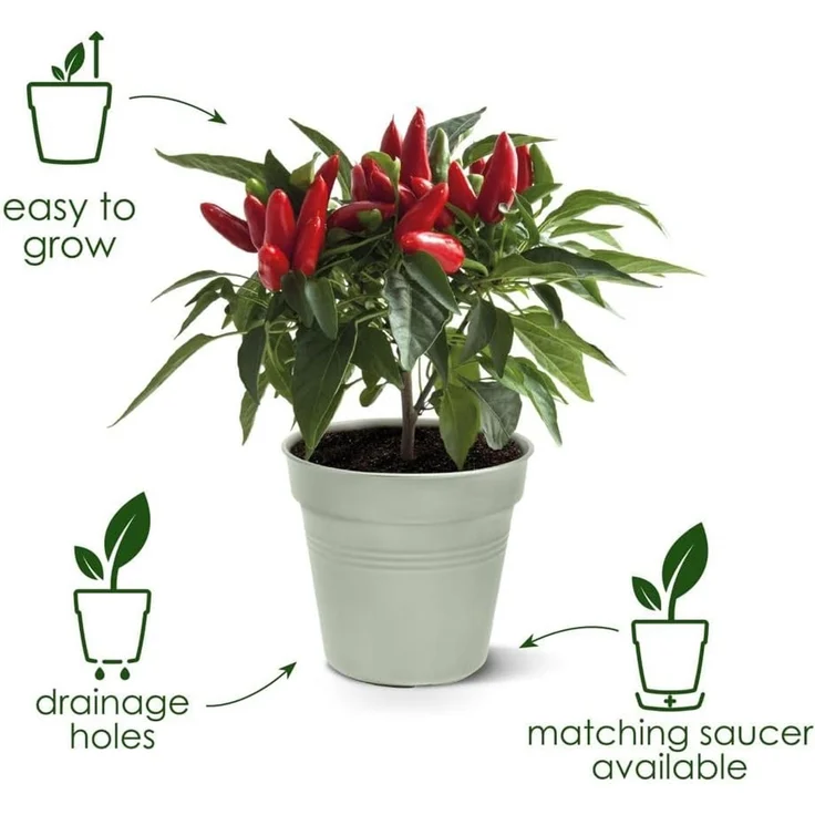 Elho Pflanztopf Green Basics Ø 15 x 14 cm terracotta – Bild 2