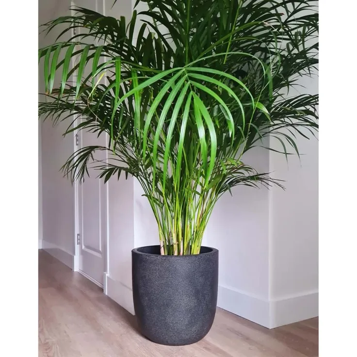 Capi Blumentopf Waste Smooth 35x34 cm Grau 442103