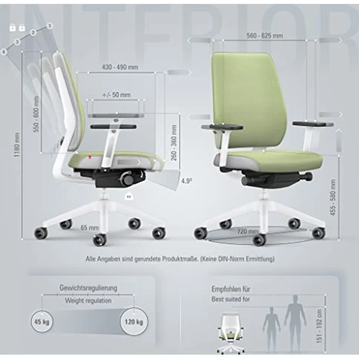 Interstuhl Joyce Interior Edition, ergonomischer Bürostuhl mit Synchromechanik, verstellbarer Rückenlehne und Lordose, Designer-Rollen (Grün | Hellgrau) – Bild 3