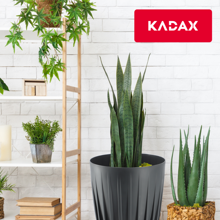 KADAX Öko-Blumentopfabdeckung + Anthrazit-Einsatz 30x36 cm – Bild 9