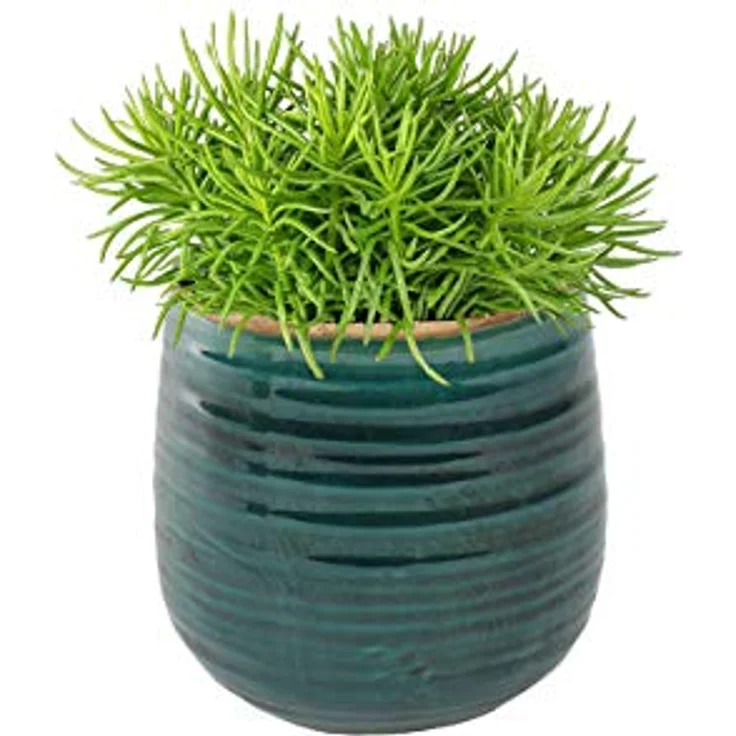 Ter Steege Blumentopf, Grün-Blau, Durchmesser 15 cm, Höhe 14 cm – Bild 3