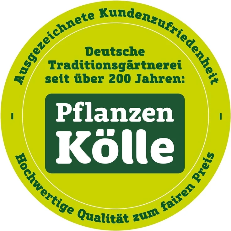 Best Kinder-Campingklapptisch 35500020 blau – Bild 2