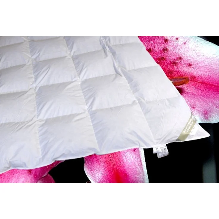 Betten Hofmann Canada Kassetten Daunenbett 4x6 155x220 1200 g Daunendecke 100% neue Daunen – Bild 2