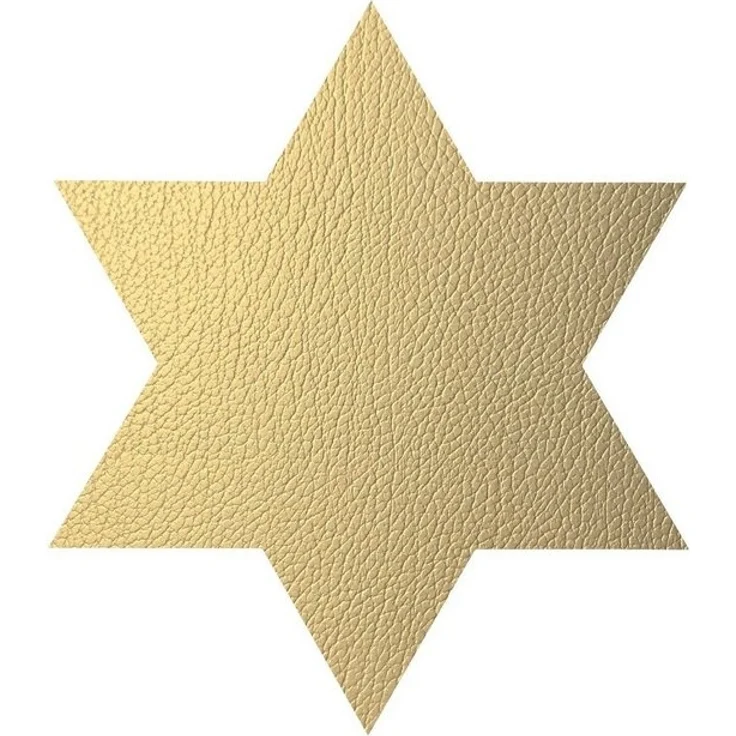 LIND DNA Platzset Lind DNA Tischset Star Stern Hippo Gold 990142 – Bild 2